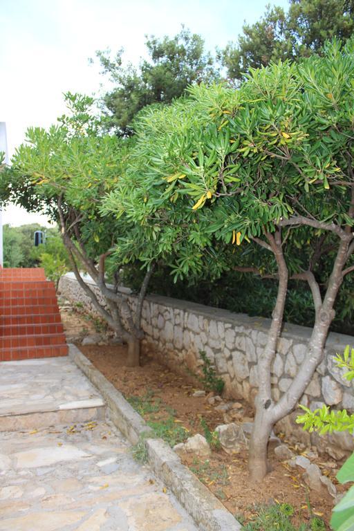 Apartments Baka Jelka Mandre Ngoại thất bức ảnh